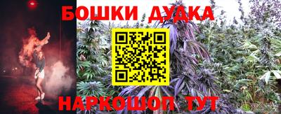 прущие грибы Азнакаево